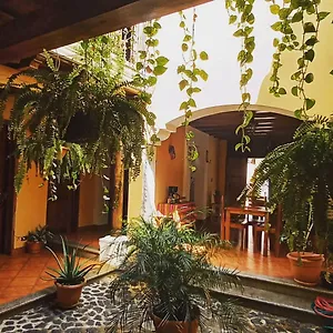 Hotel Casa Sofia, Antigua